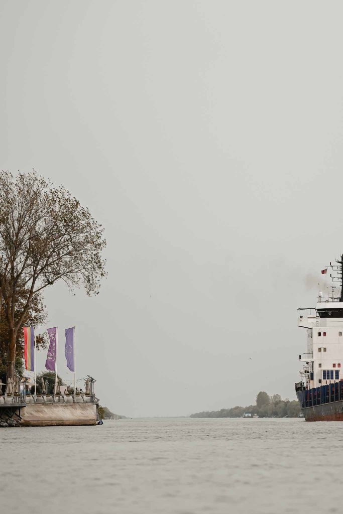 autumn danube delta