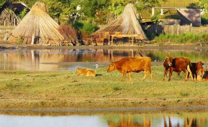 caraorman village danubedelta