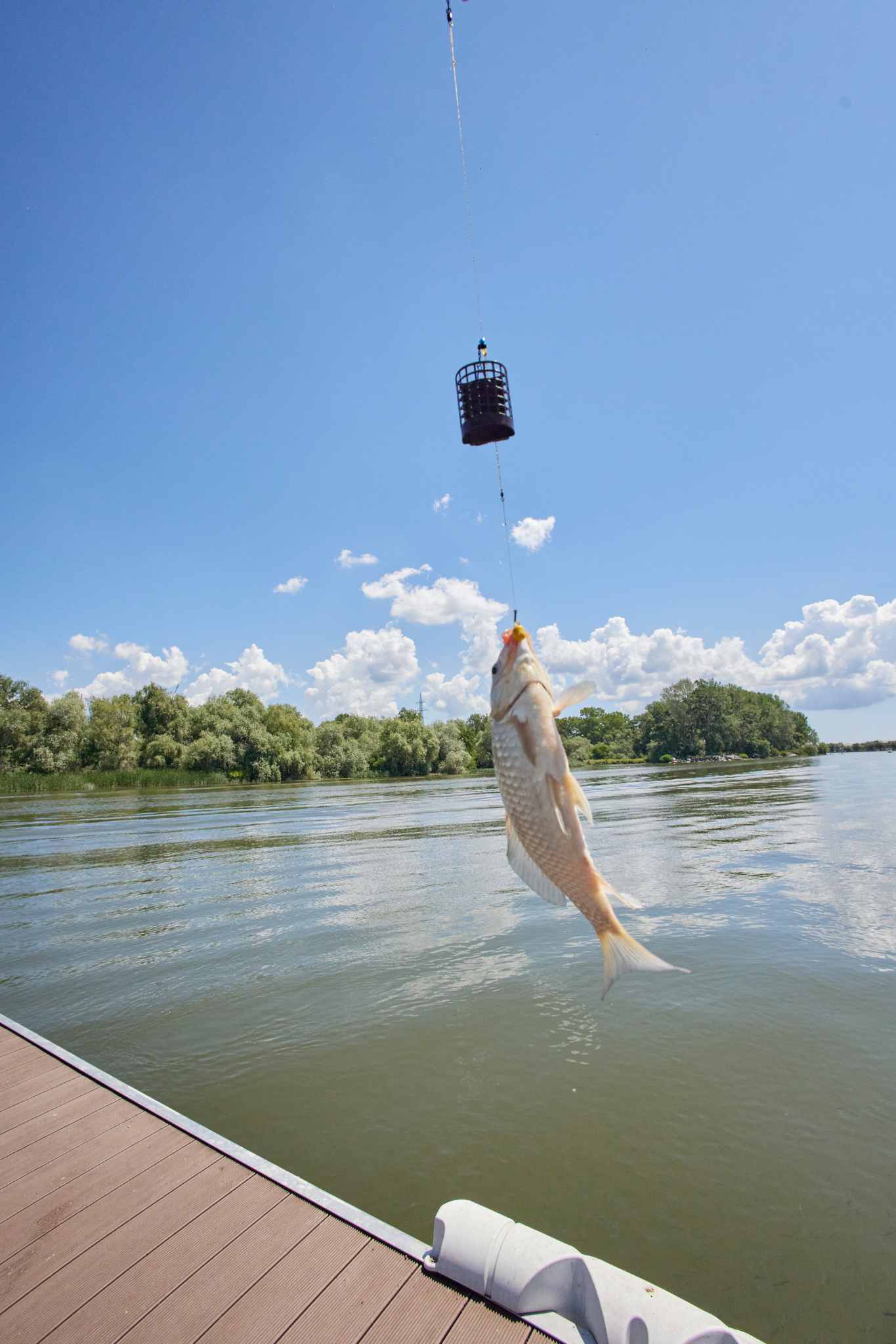 catch fish danube delta