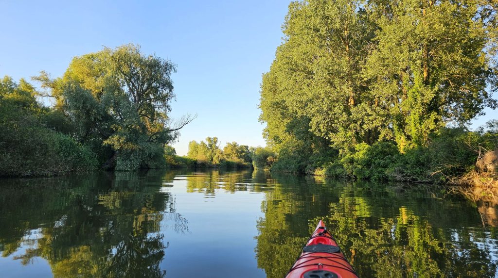 canalele din delta Dunării