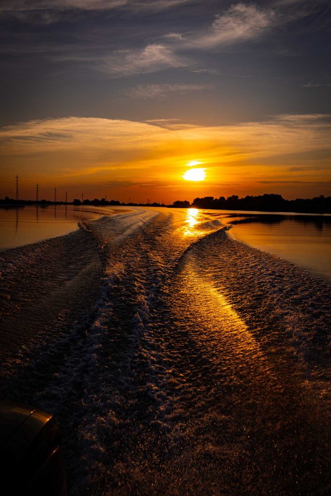 danube delta image