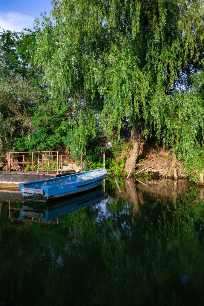 danube delta landscape