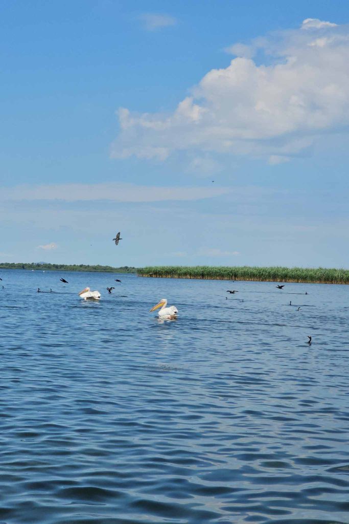 danube delta landscapes