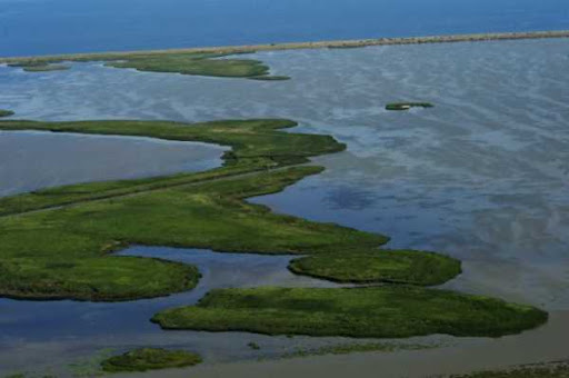 lake razelm danube delta