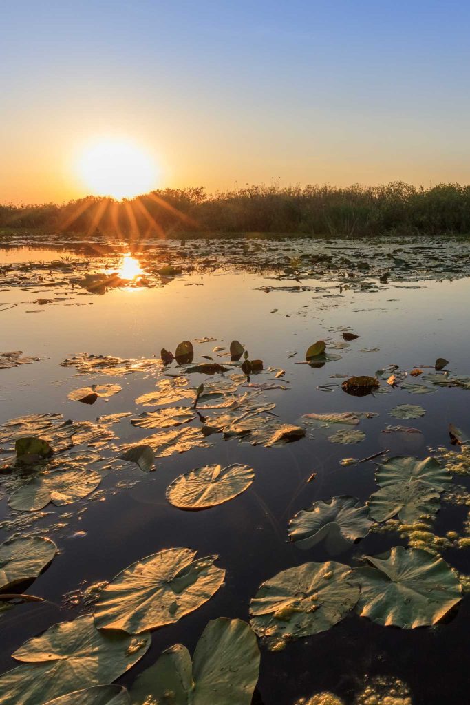 lacul razelm romania