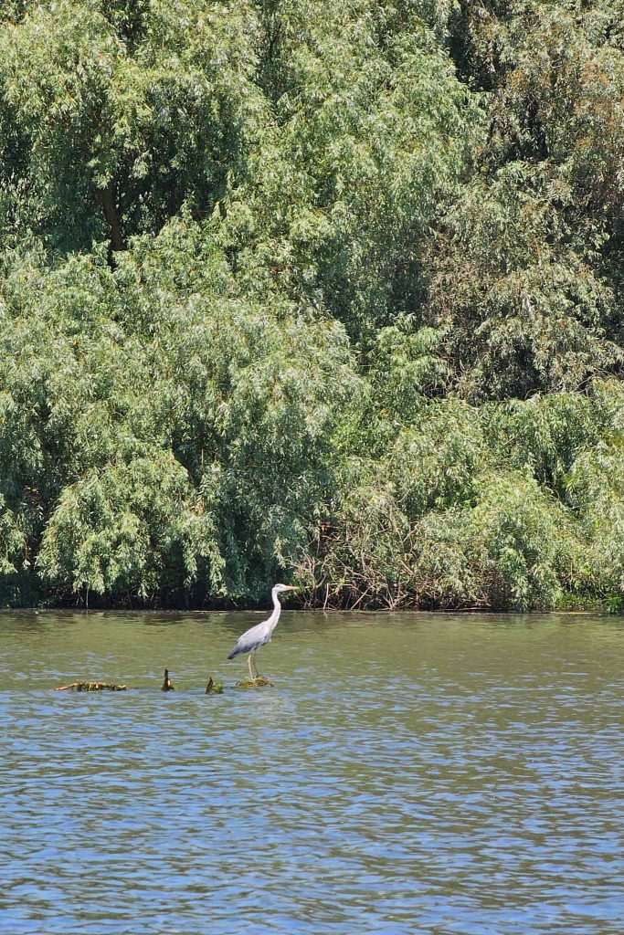 perfect season danube delta 2