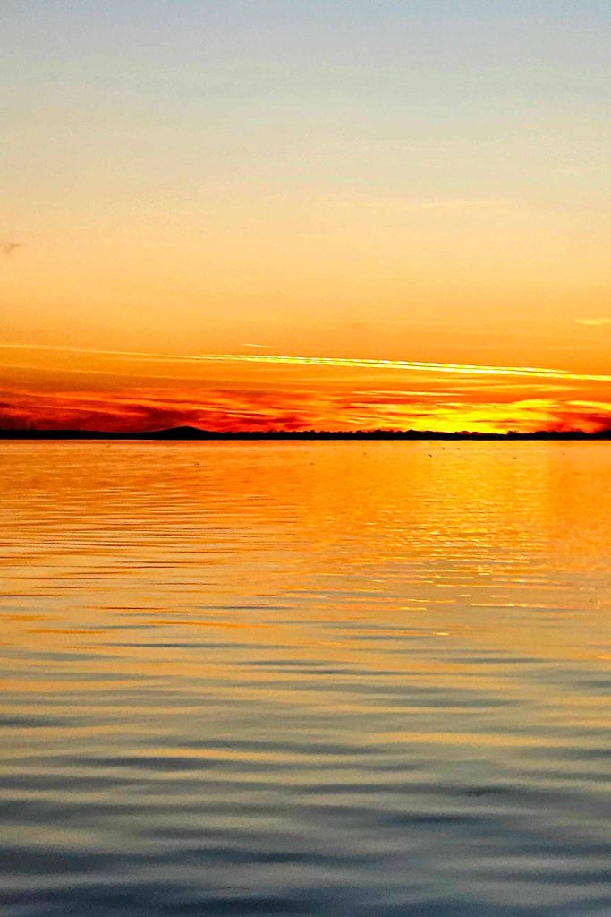 spring march danube delta