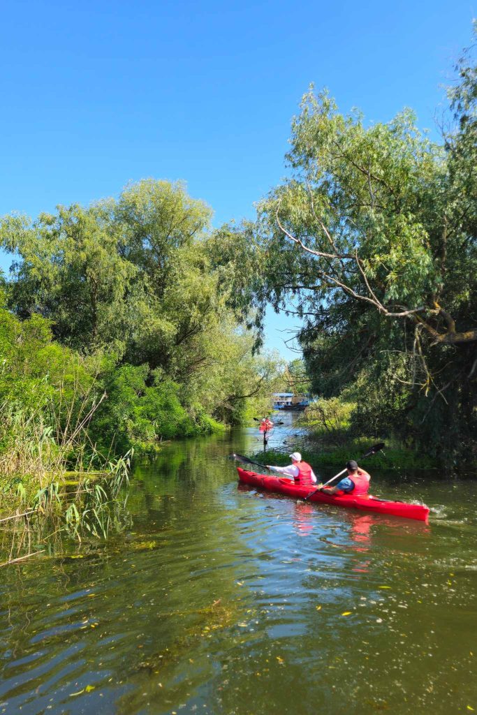 vară delta Dunării