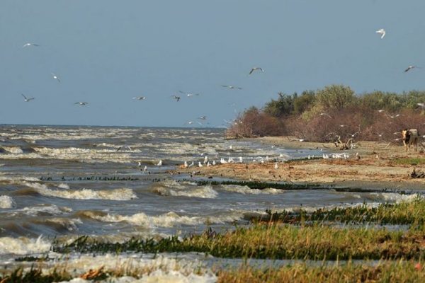 tourist in danube delta sacalin zatoane reserve