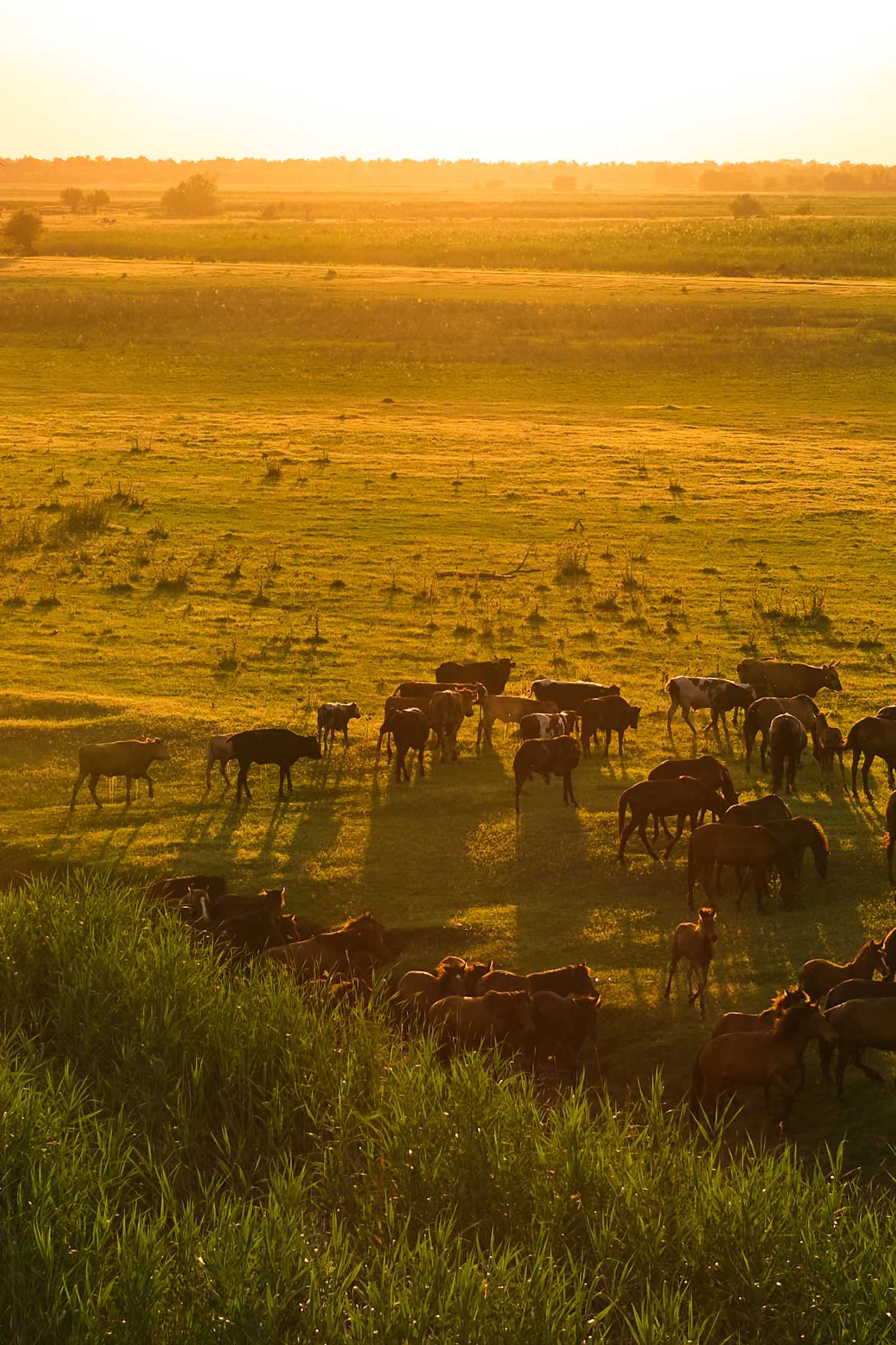 wildlife encounter biking tours