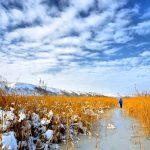 The Danube Delta in January