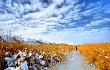 The Danube Delta in January