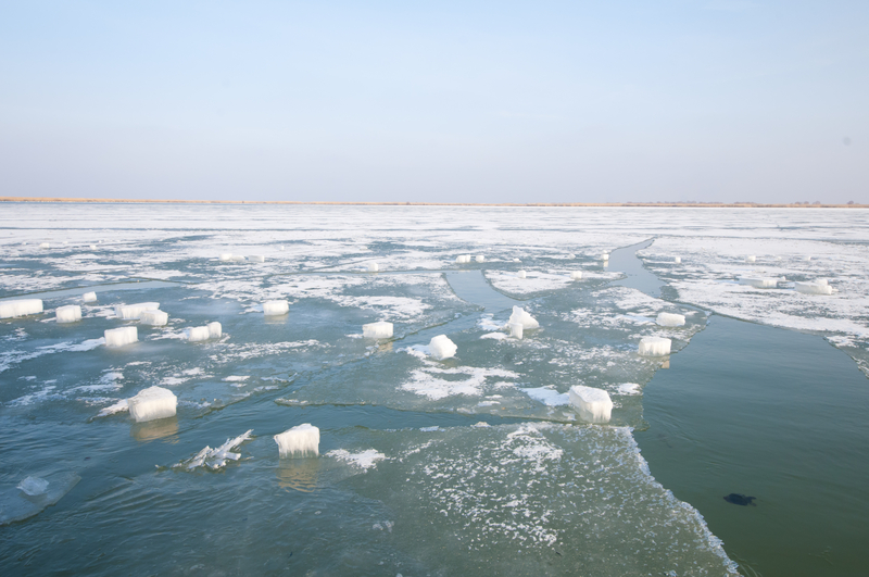 The Danube Delta in January