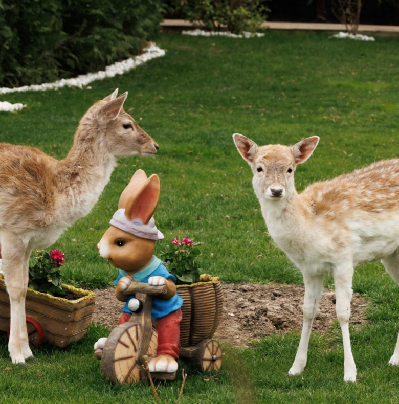 Mammals from the Danube Delta