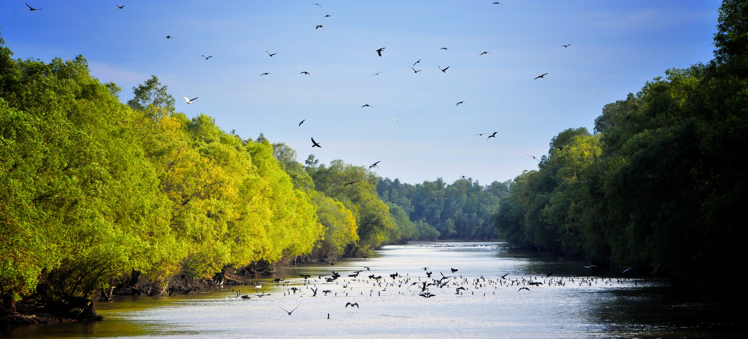 10 Questions and answers about the Danube river