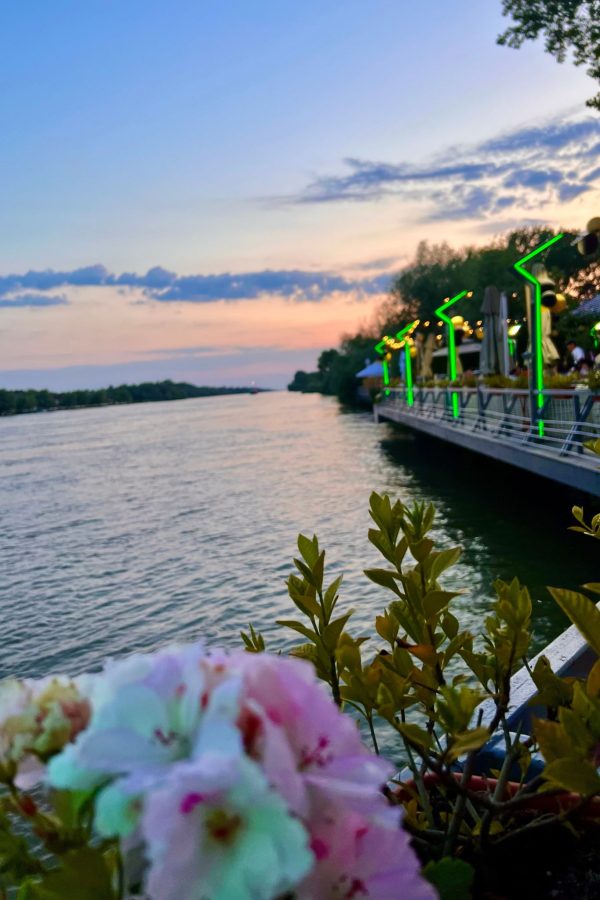 Offers 5 stmary package danubedelta