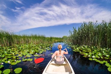 Why is the Danube Delta important?