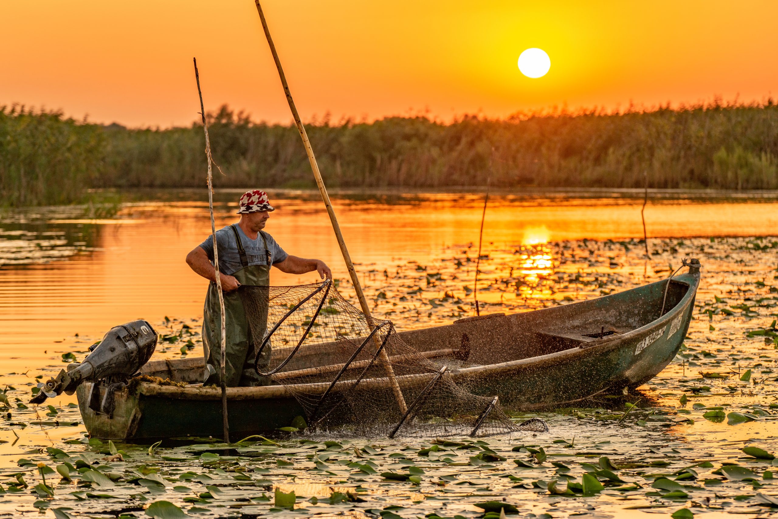 permise de pescuit în Delta Dunării