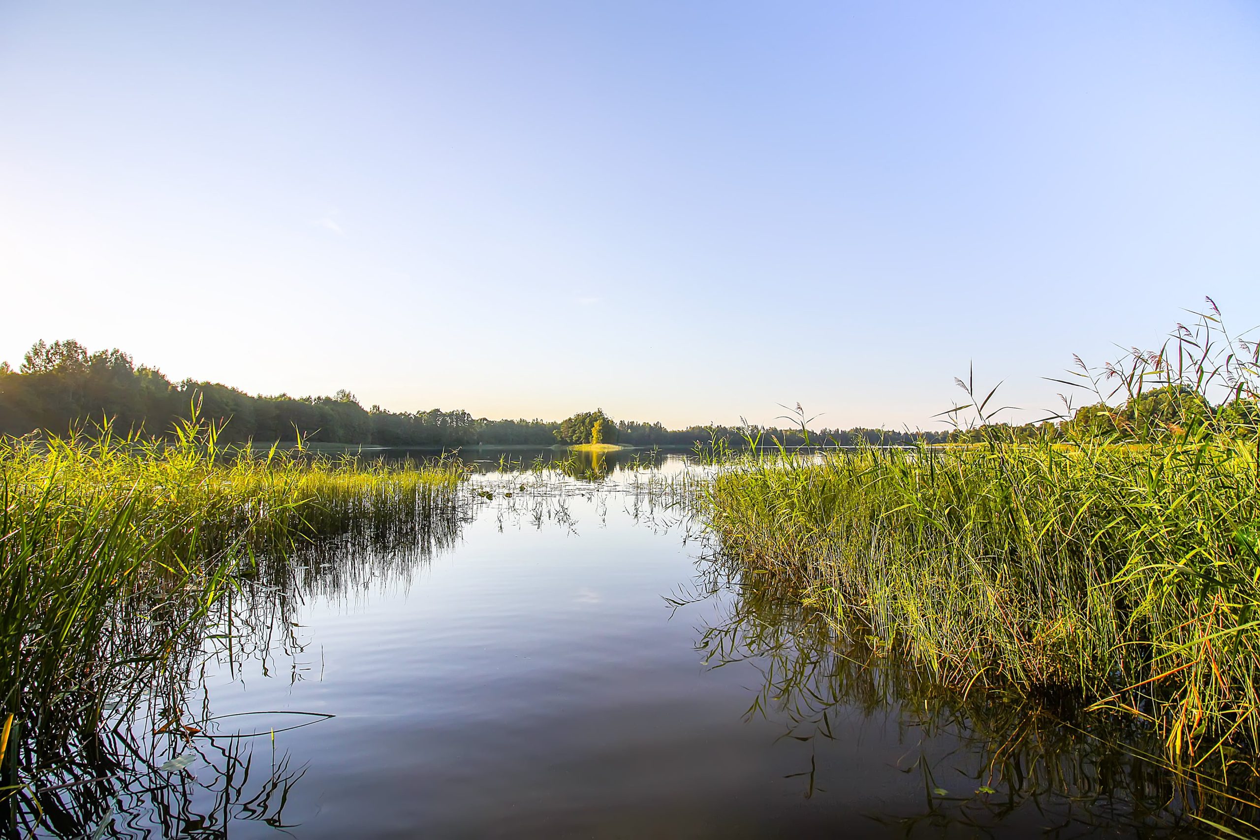 Vacation in the Danube Delta