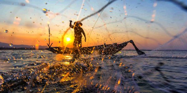 Best Days and Times in the Danube Delta