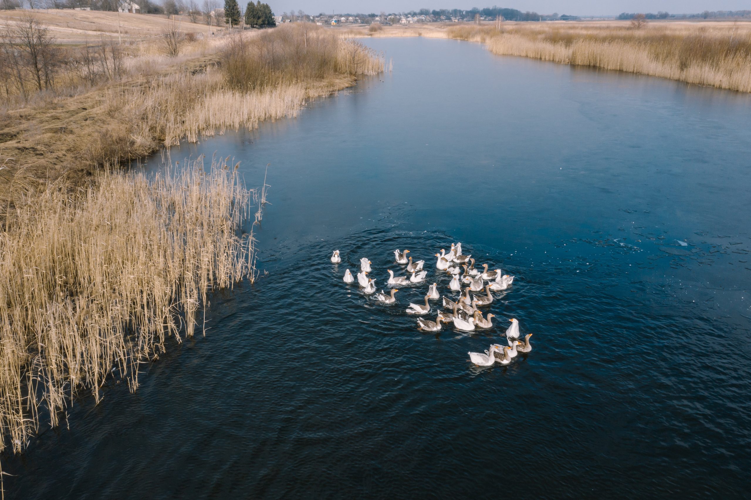 Lacul Sinoe vedere panoramică în Delta Dunării