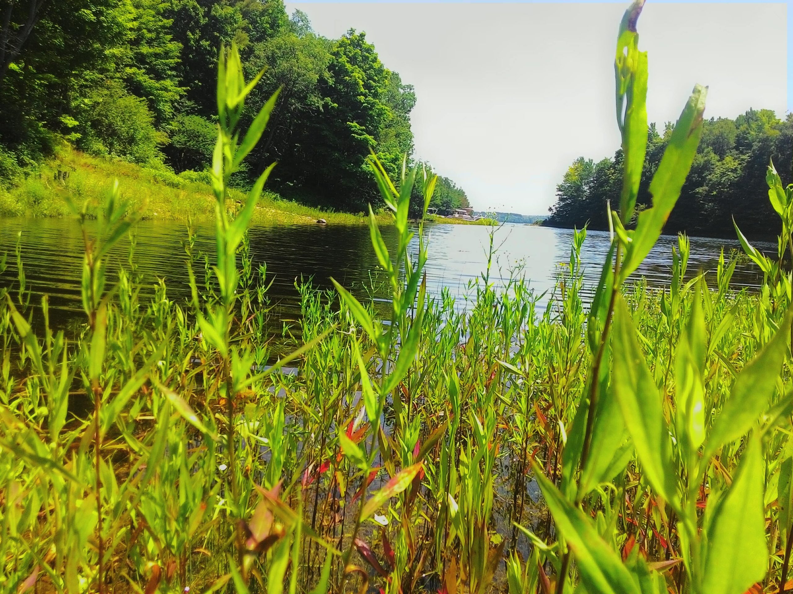 Climate in the Danube Delta – How it changes from season to season 1 primavara in delta dunarii clima