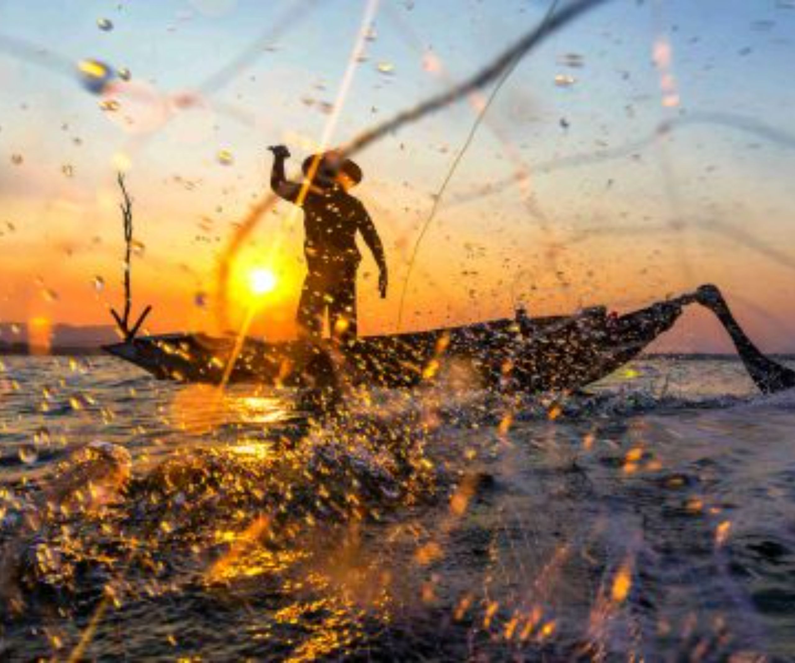 What costs are involved in a vacation in the Danube Delta 4 activitati Delta Dunarii excursie cu barca