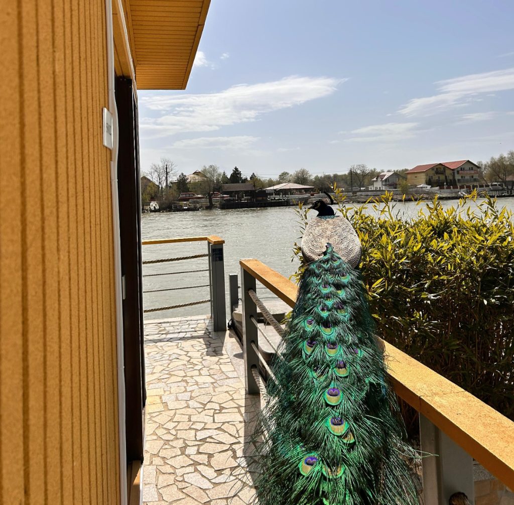 birdwatching Delta Dunării cazare aproape de natură Lebăda Luxury Resort vedere canale și lacuri