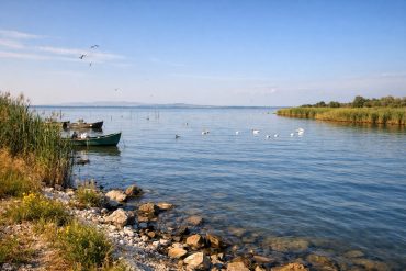 Razim Lake – The Authentic Tranquility of the Danube Delta
