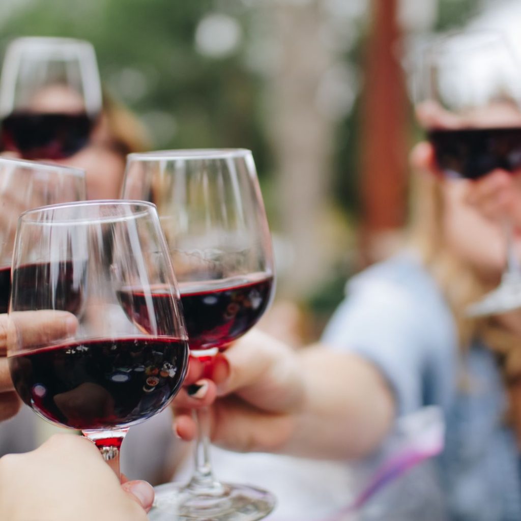 Wine Festival at Lebăda Island